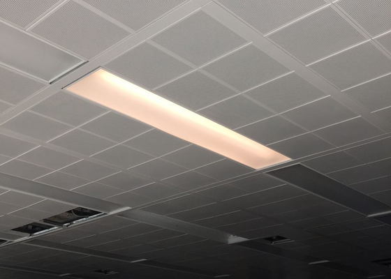 1' ' weißes Klipp der Farbe×1 Perforierungs-Φ2.3 in der Decke für Bürogebäude